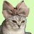 猫缶1220のアイコン