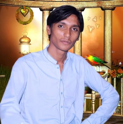 RavishBheel's profile picture. Ravish BheeL