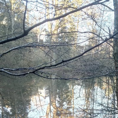 Daniel28930990's profile picture. 