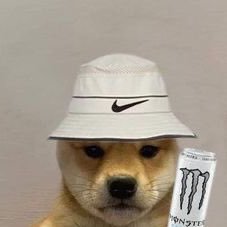 FH7___'s profile picture. A dedicated sports fan. NFL, Football and NBA are my favorite sports.