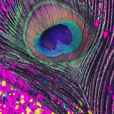 Madhu83508352's profile picture. Everybody wants heaven but nobody wants to die