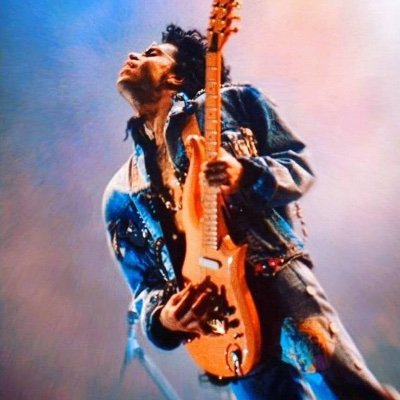 Moggies 
Prince
Manchester 💜💜💜