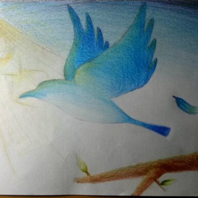 来谷　悠架さんのプロフィール画像