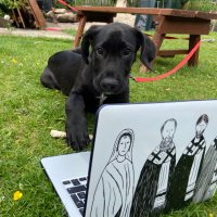 Toxic Theology WatchDog (@toxictheodog) 's Twitter Profile