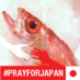 Twitter Profile image of @js_jp