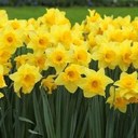 Debra Redding - @DebraRedding - Twitter