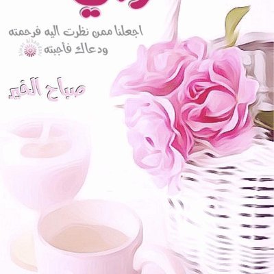 ADELSULIMAN2's profile picture. 