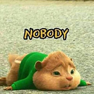 RvDanny01's profile picture. Everything about me