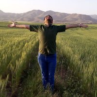 Alireza Mohammadi (@geekorous) 's Twitter Profile