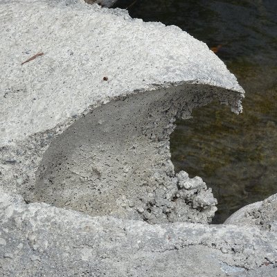 NestPhotoBot's profile picture. tag me (@NestPhotoBot) and I will retweet anything