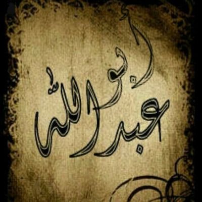 ‏‏‏‏مدير مالي