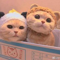 doubleit (@doubleit4) 's Twitter Profile