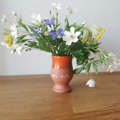 Sg62271's profile picture. Education nationale