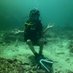 get me back in the water (@alecsdives) Twitter profile photo get me back in the water (@alecsdives) Twitter profile photo