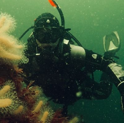 Henke9309's profile picture. Project assistant in the Zostera restauration-team (Zorro) at Gothenburg University with focus on seagrass ecology