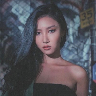 wcmgrande's profile picture. a digital diary of some sort