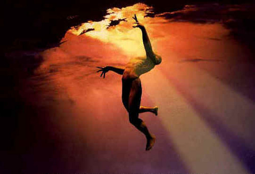 Fersva's profile picture. Aunque al final te queme el Sol en esta vida hay que aprender a volar lo mas alto posible.