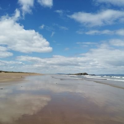 coolsideofwarm's profile picture. 