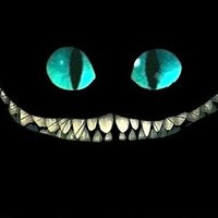 Vikktar (@vikktar1) 's Twitter Profile