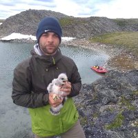 Nick Gulotta (@gulottanick) 's Twitter Profile