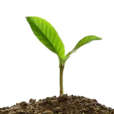 Venta Online de Almácigos, Fertilizantes, Abonos, Tierras, Herramientas, Semillas, Insecticidas, y Más! Compra Online Segura. Despacho a todo Chile.