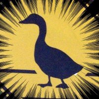 fj(@DuckFanboy) 's Twitter Profile Photo fj(@DuckFanboy) 's Twitter Profile Photo
