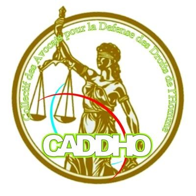 Avocat au Barreau de Port au Prince et Coordonnateur  Général du CADDHO.
PDG du Cabinet ADVOCATUS LAW FIRM

Président Comité national Paralympique Haïtien