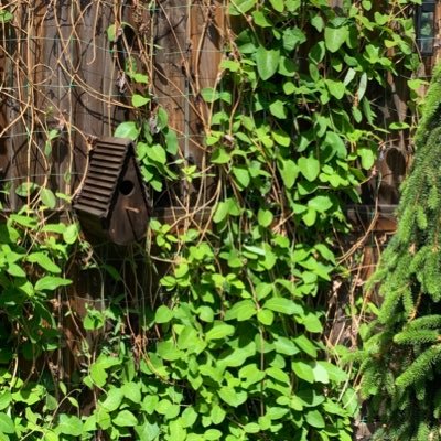 marksotto's profile picture. home cook, knife enthusiast, cyclist.