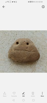 YouTuber Simpo's pet rock go sub to him.
