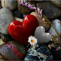 Thylu (@thylu11) 's Twitter Profile