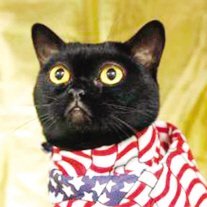 OuahOuah88's profile picture. 消灭台独博士，教授，特级导师、驱绿魔专家、反独促统制造者