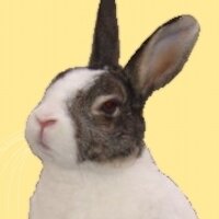 佐伯英子/技術士(IT) (@saeki_hideko) 's Twitter Profile