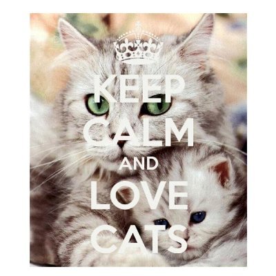 Keep calm and love cats