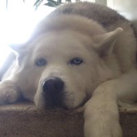 Juan Miguel Velasco (@juanmig59423535) 's Twitter Profile
