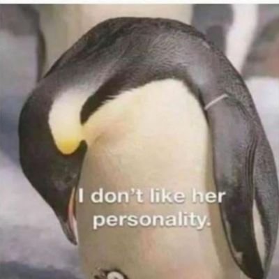 YoAce413's profile picture. Ask me and ill tell ya...