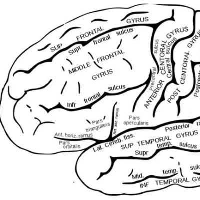 🇨🇦Cognitive neurologist @ Banner. Behavior Neurology Fellowship @mayoclinic. Residency @DCNSNeuro. Tweets are my own. MedEd enthusiast. https://t.co/Ct7bqBia2F