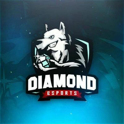 Equipo Oficial de Staff @DiamondEsportss