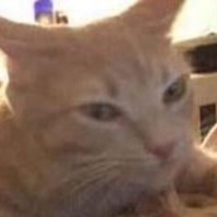 I’m pretty much only using this account now so I can screen record my Switch videos tbh