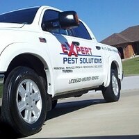 Expert Pest Solutions (@springfieldpest) 's Twitter Profile Photo