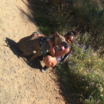 shrutisk1's profile picture. I love my dog. a lot. @rydersbestlife on insta 🤩