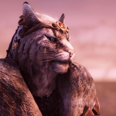 I am a great lover of The Elder Scrolls series and games in general. I stream a heavily modded Skyrim currently on Twitch so come and check it out at some stage