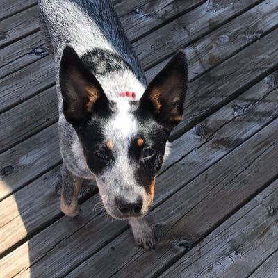 MissMW97's profile picture. Married 2 a wonderfull man, We ❤ being parents of 7 to being grandparents of 12. I ask that u be respectful & ill do the same.We love our Jesus. John3:16✝️