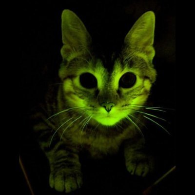 Ramses_Emerson's profile picture. Owned by the best findom master to exist