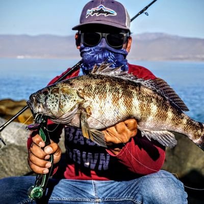 pizarromois's profile picture. 