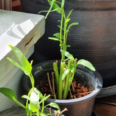 ushouldbehere60's profile picture. 