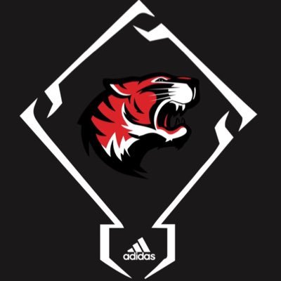 Twitter account for Blue Ridge Tigers Baseball. 2016 & 2017 Region 2-4A Champions - 2019 4A District Champions - 2023 Region 3-3A Champions! #StayHungry