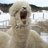 nao_4721_kato's profile image