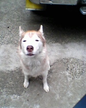 razzlemonroe's profile picture. 積立NISAはオルカン/成長枠は国内個別株/ポイ活/株主優待/