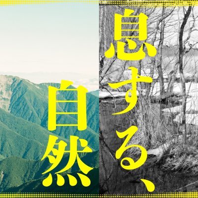 自然と山と中判&大判フィルム写真⛰ 東京藝術大学の学生2人組です🚶‍♀️ 石川真悠と中山ゆめお@yumeoyumeo📷五感で自然を楽しむフィルム写真オンリーの新しい写真展⛰ クラウドファンディングで145%達成し表参道で展示しました🐻🐻🐻👇サイト↓