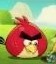@SlideAngryBirds
